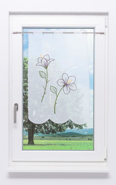 Scheibenhnger Plauener Spitze -  Blume