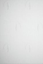 +