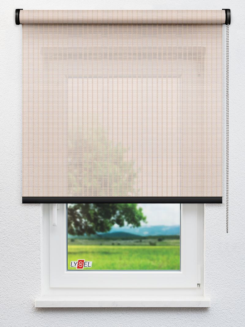 R3017 Fensteransicht