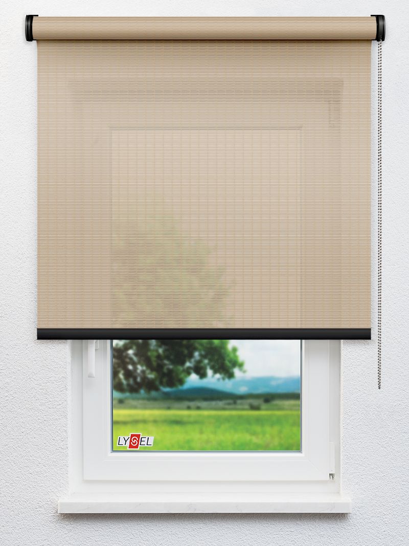 R2.787 Fensteransicht