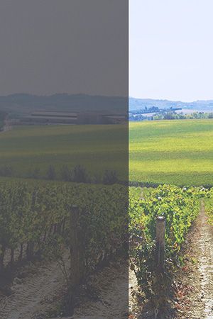 Preview Firminy 825-1fl 2