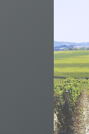 Preview Autun 815-1 2