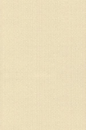 Paperwhite 2002.1002
 Detailansicht