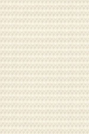 Shadow 2002.1085 Detailansicht