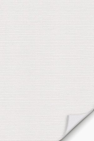 Lamelle Sri Lanka 2004.1108 Detailansicht