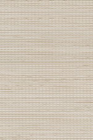 Noppe 2004.1022 Detailansicht