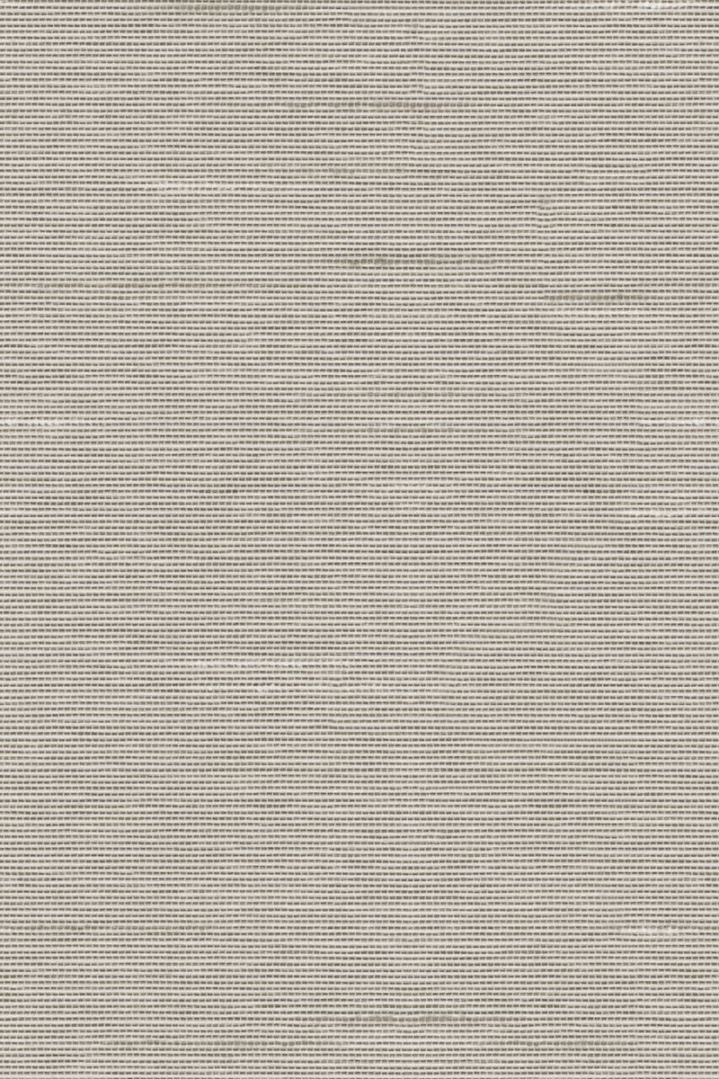 Lamelle Bacoli 2003.1166 Detailansicht