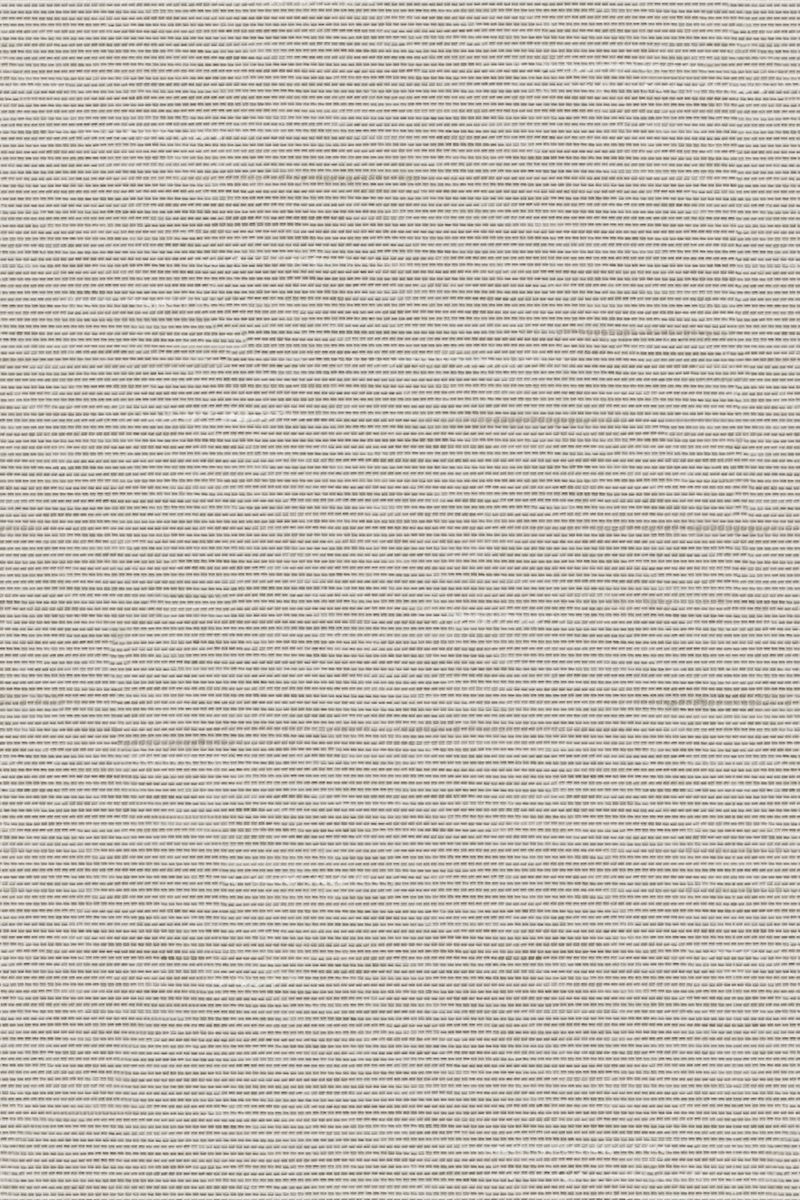 Lamelle Bacoli BO 2003.1185 Detailansicht