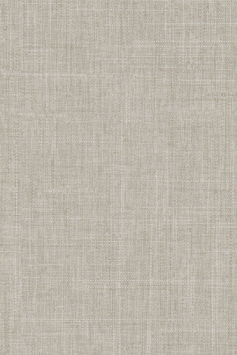 Lamelle Maiori 2002.1178 Detailansicht