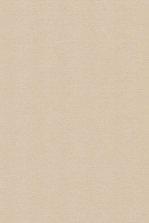 Rotach 2007.1061
 Detailansicht