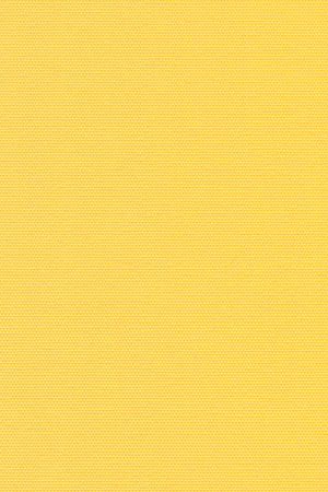 Rotach 3002.1005
 Detailansicht