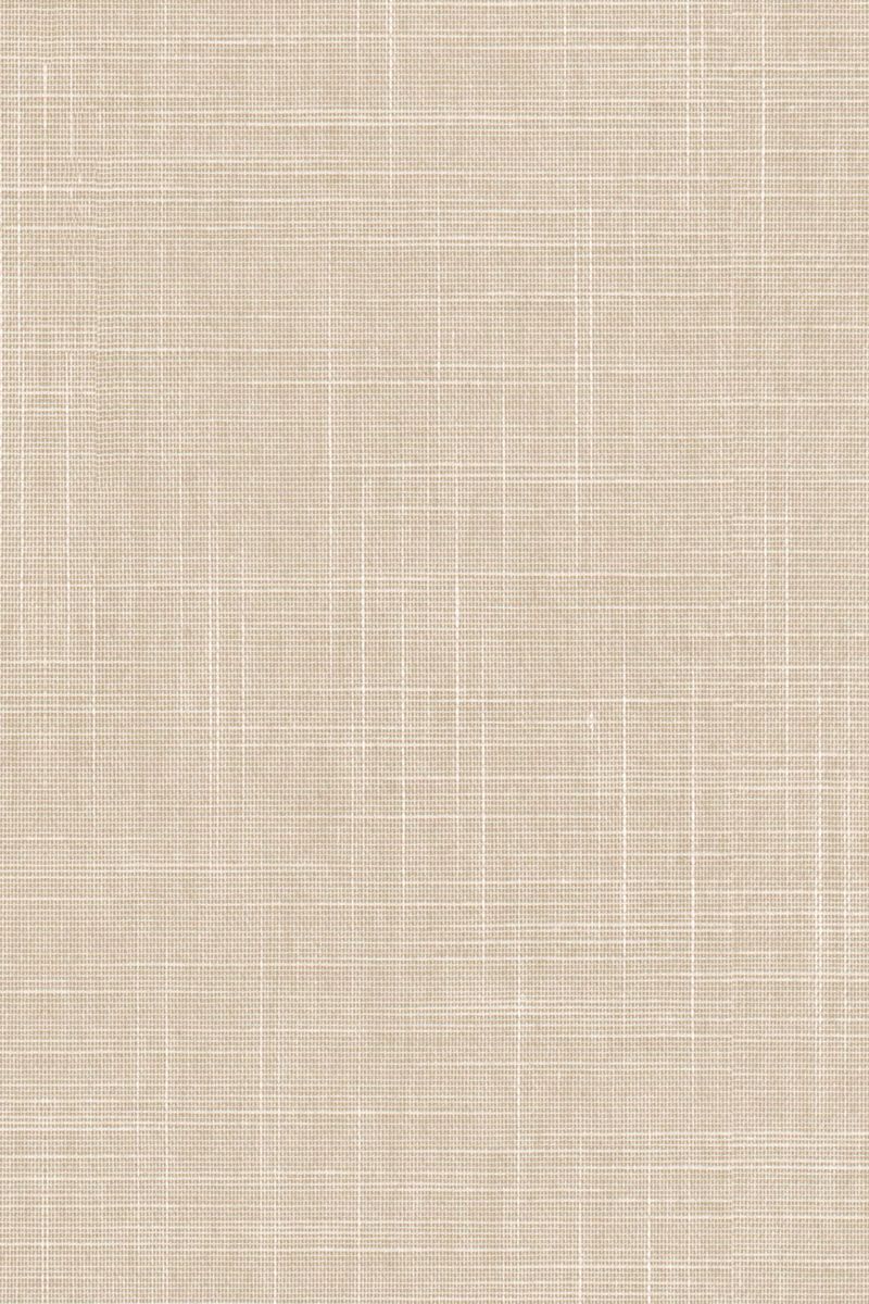 Lamelle Aversa 2003.1135 Detailansicht