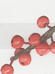 Plissee Berry Dream 1090vs Detailansicht