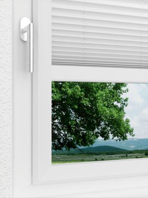 Preview LYSEL HOME Plissee 209A Elva Krepp Pearl 3