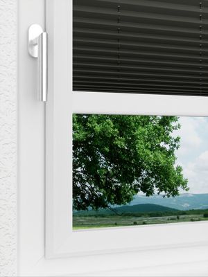 Preview LYSEL HOME Plissee 202B Elva Krepp BO 1