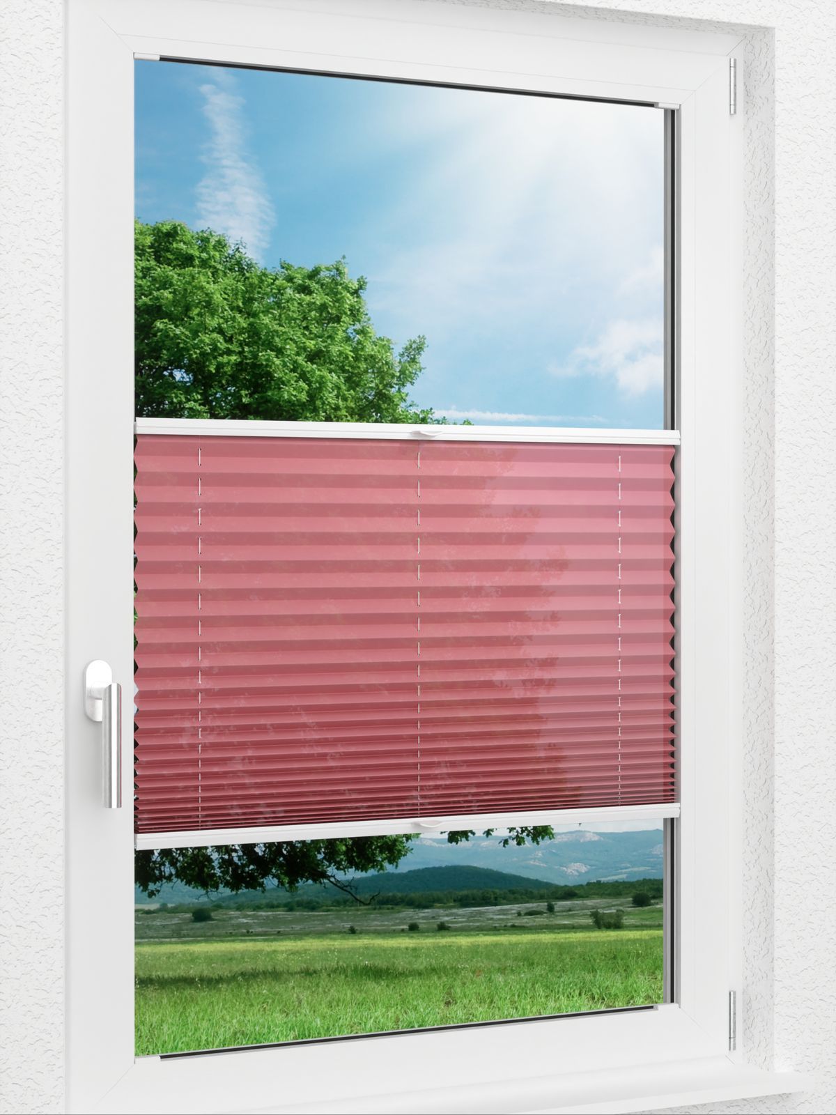 Detailansicht LYSEL HOME 419A Currant