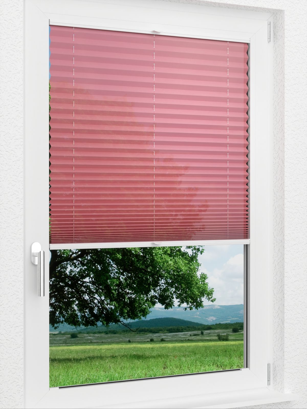 Detailansicht LYSEL HOME 419A Currant