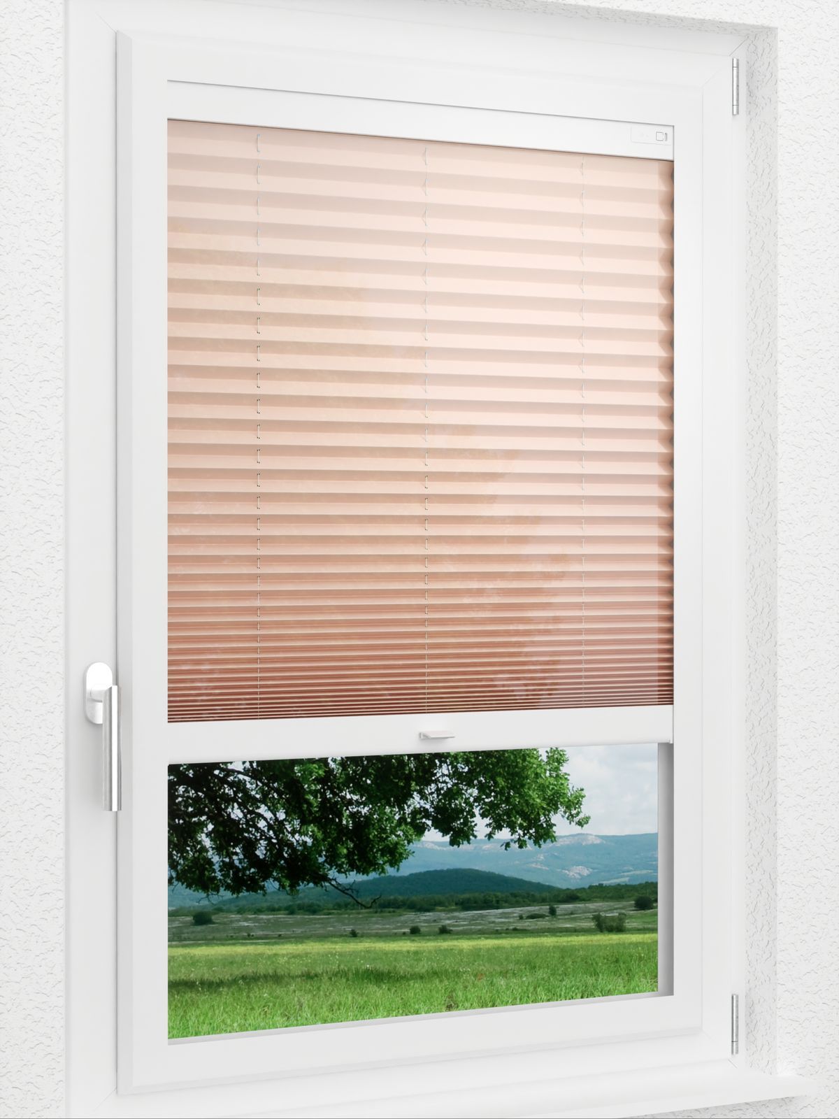 Detailansicht LYSEL HOME 440A Currant