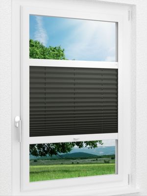 Preview LYSEL HOME Plissee 202A Elva Krepp BO 1