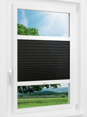 Preview LYSEL HOME Plissee 229A Leif 1