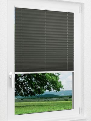 Preview LYSEL HOME Plissee 202B Elva Krepp BO 1