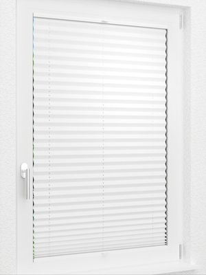 Preview LYSEL HOME Plissee 205B Elva Krepp 2