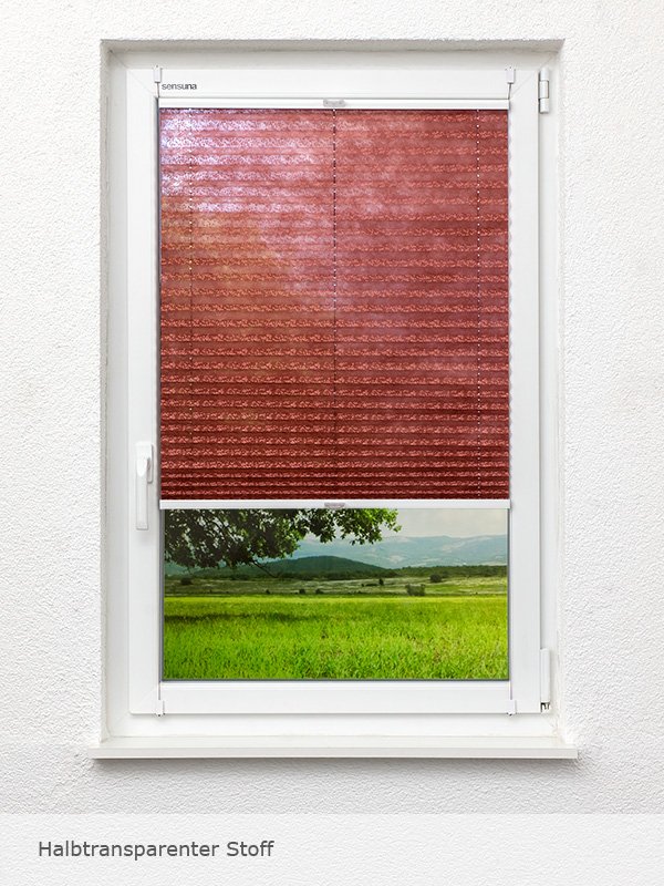 Detailansicht Backyard 183vs