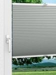 Willow Dark 1651vs Fensteransicht