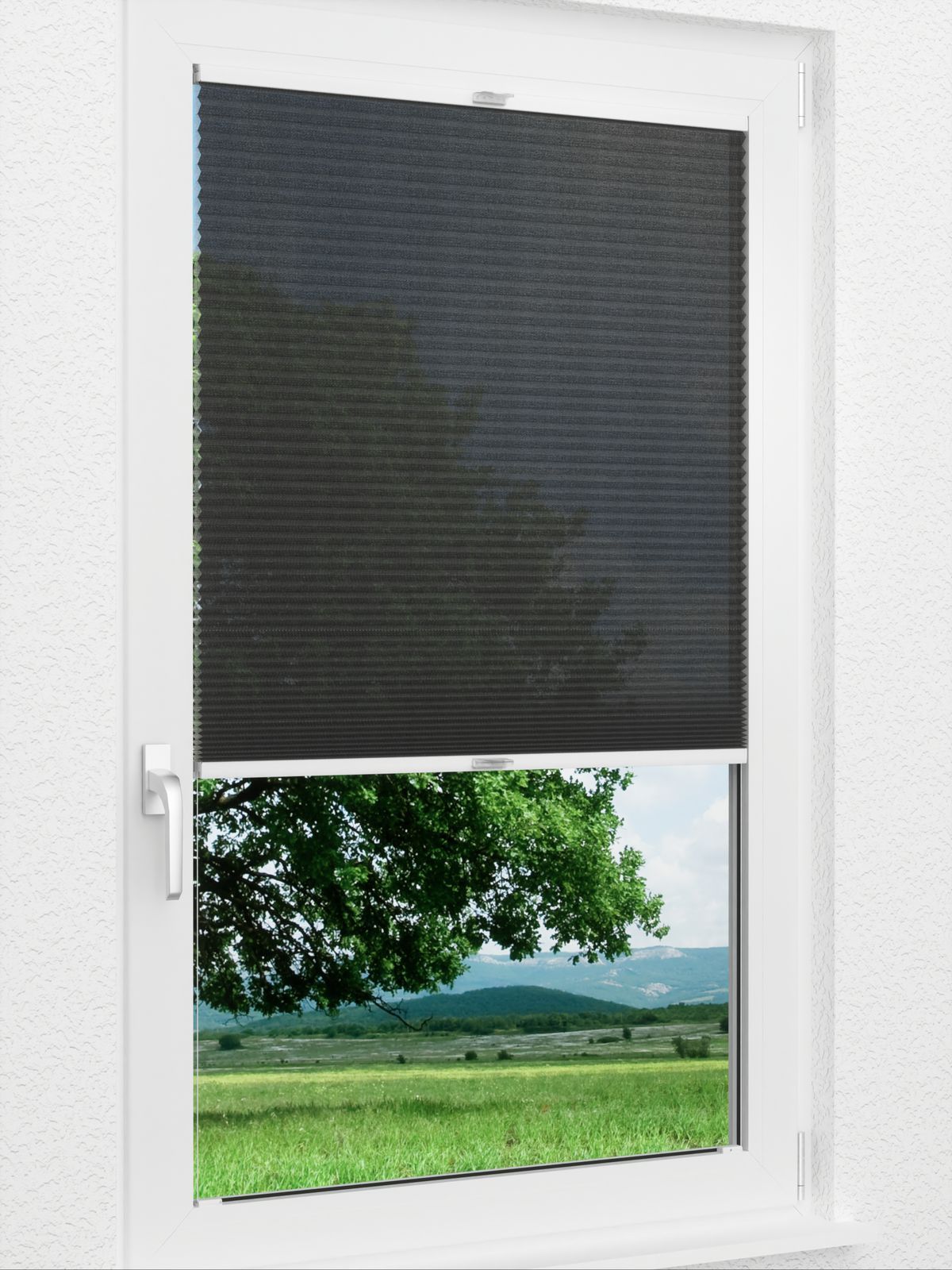 Detailansicht Archie 1603vs