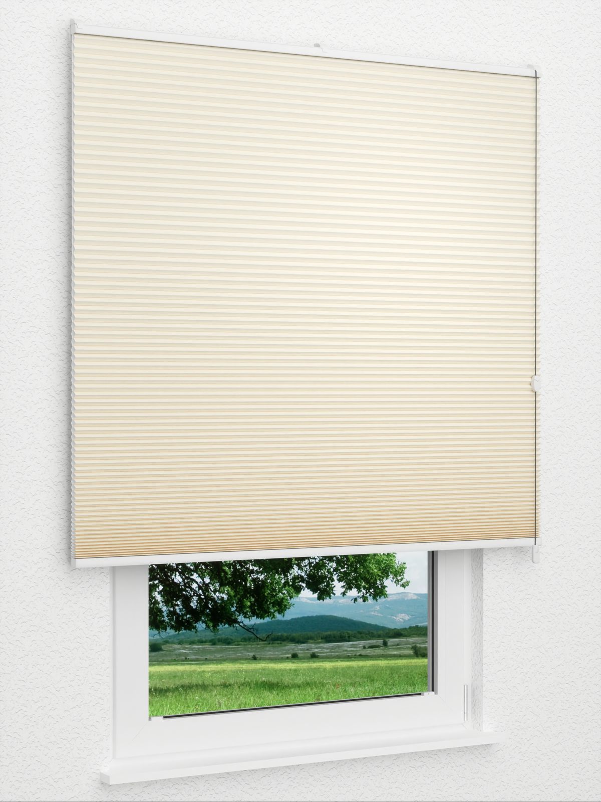 Detailansicht Gaddo 1481vs