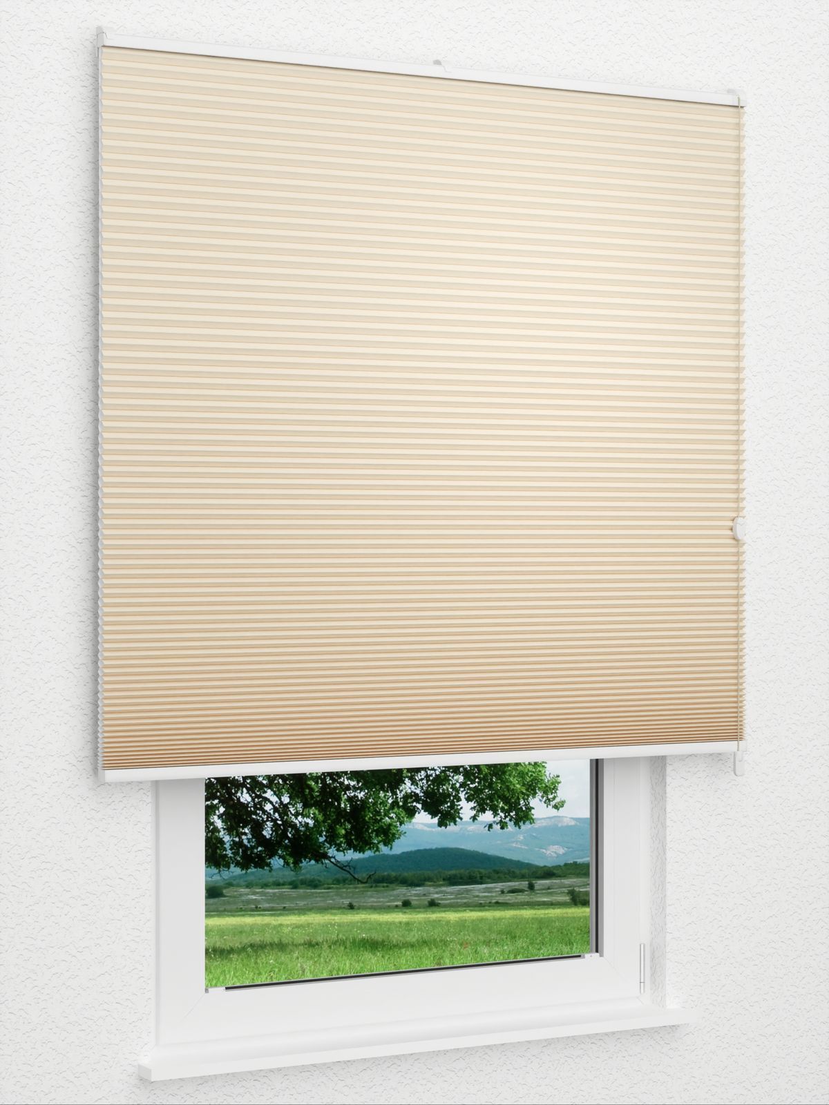 Detailansicht Gaddo 1482vs