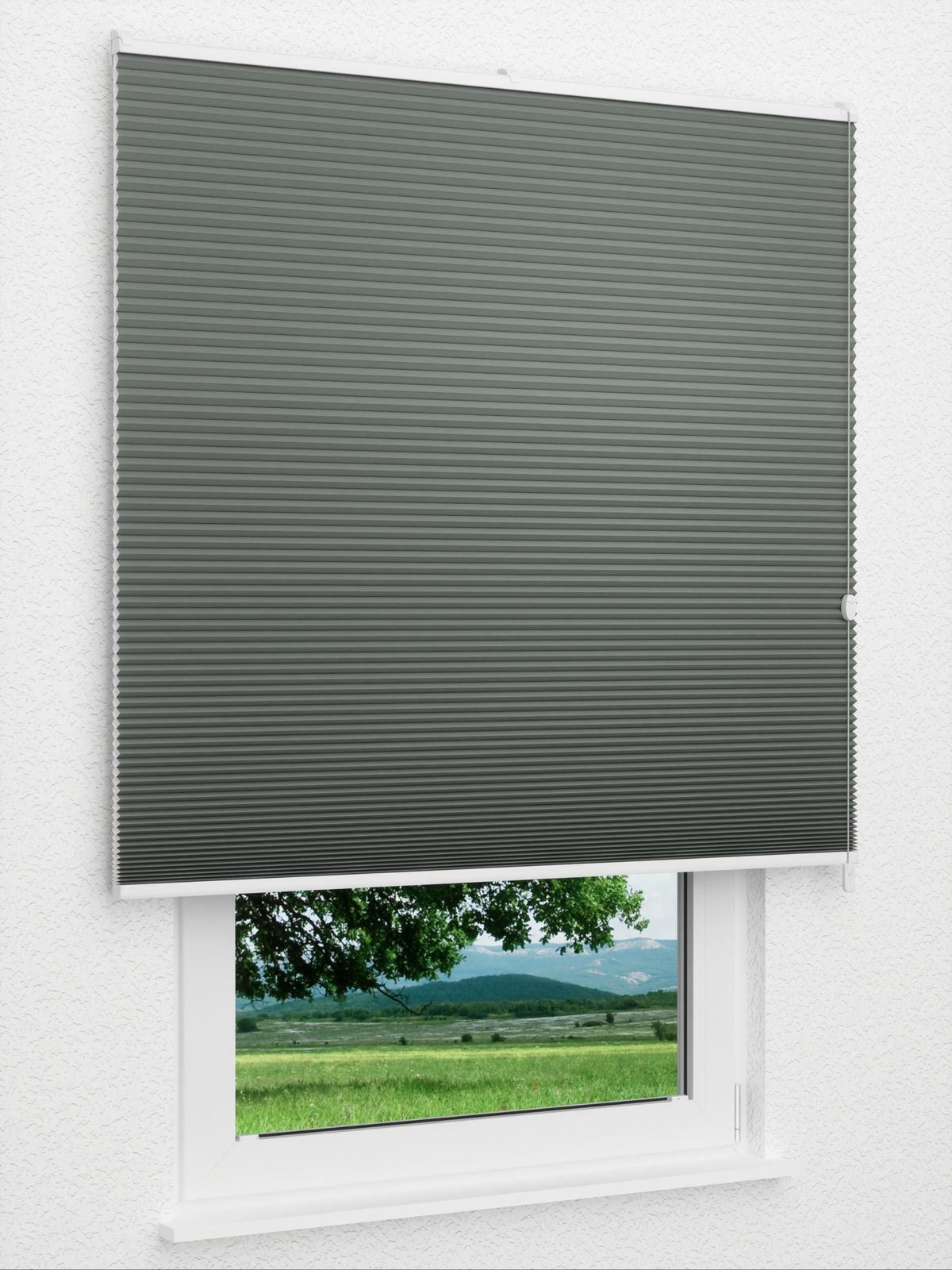 Detailansicht Gaddo 1484vs