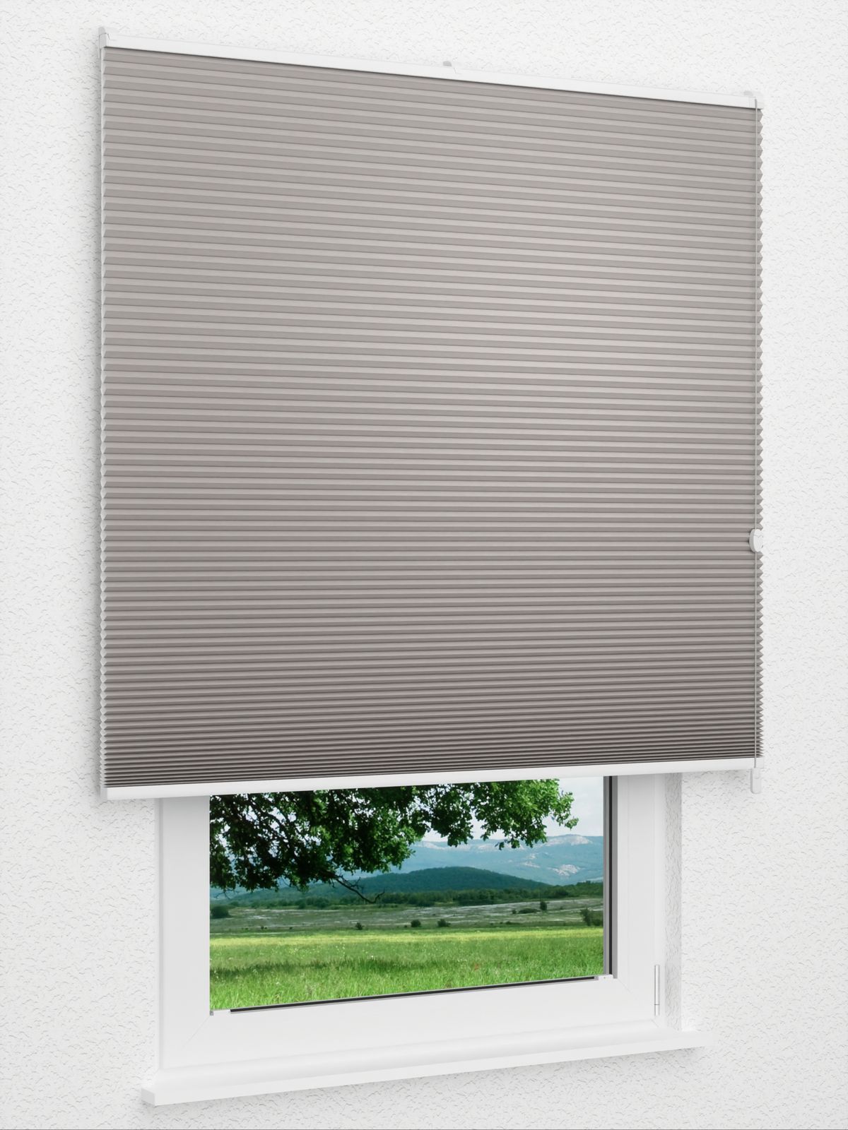 Detailansicht Gaddo 1487vs