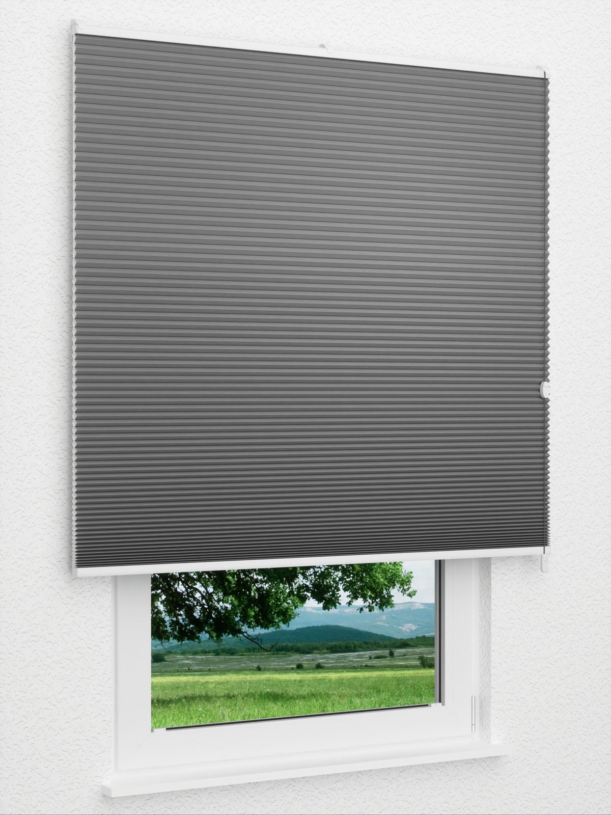 Detailansicht Gaddo 1488vs