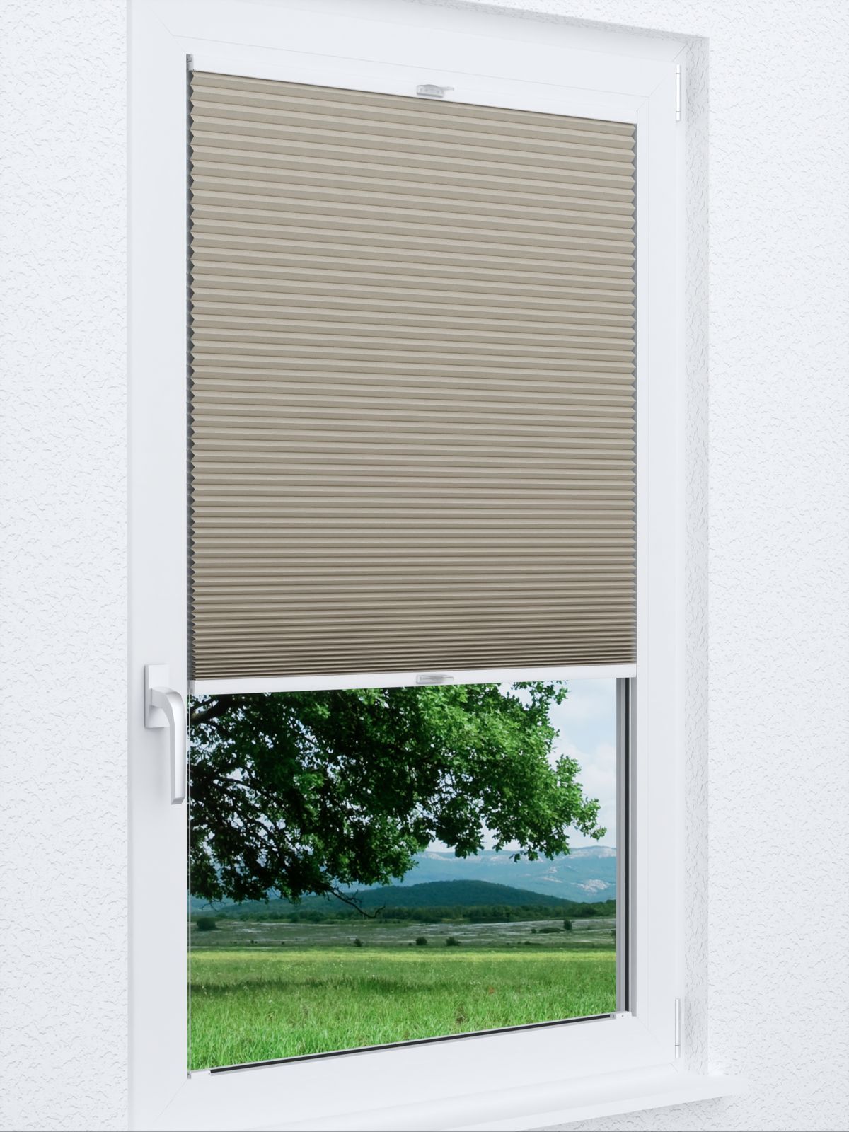 Detailansicht Wabe Shine 1361vs