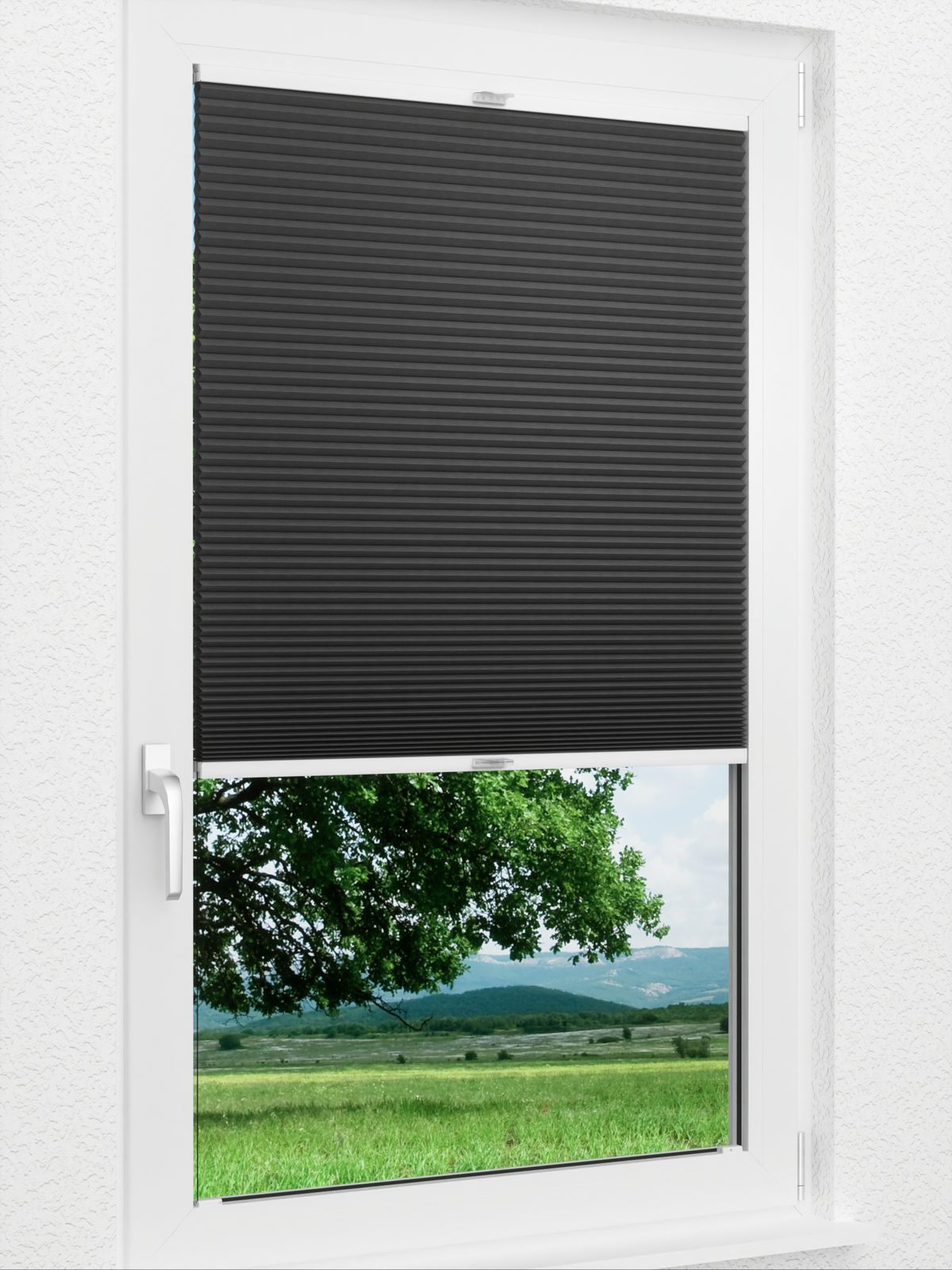 Detailansicht Willow 1643vs