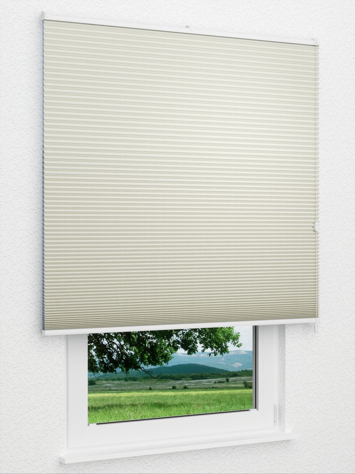 Detailansicht Willow Dark 1650vs