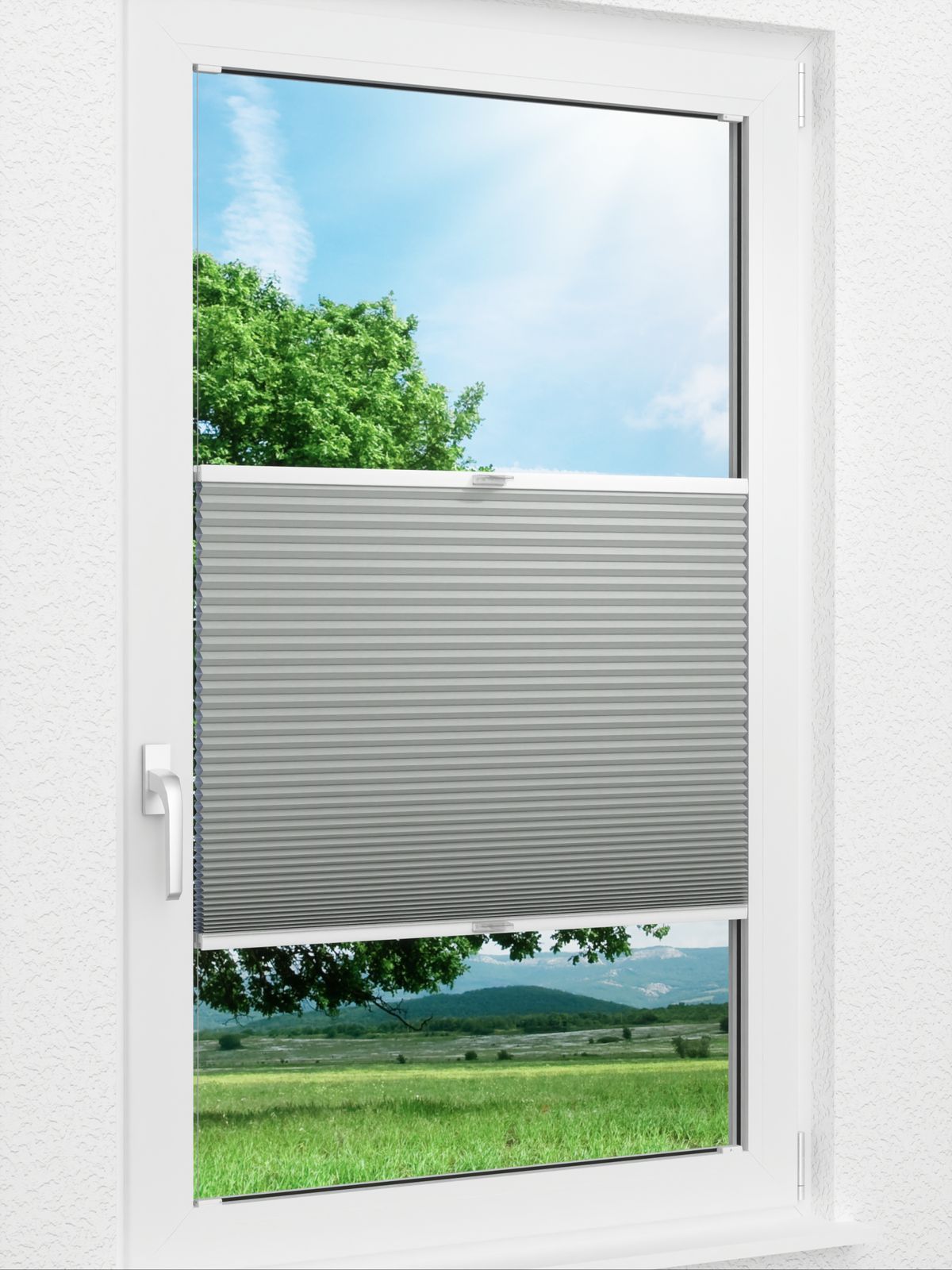 Detailansicht Willow Dark 1651vs