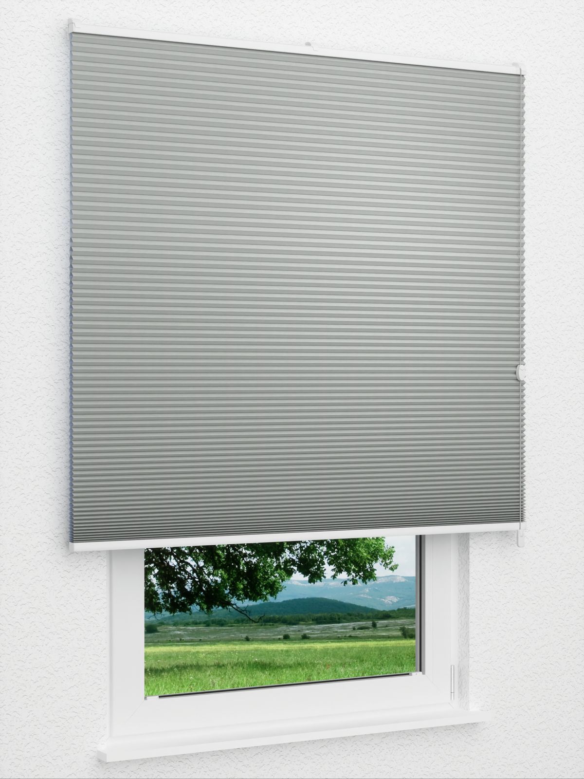 Detailansicht Willow Dark 1651vs