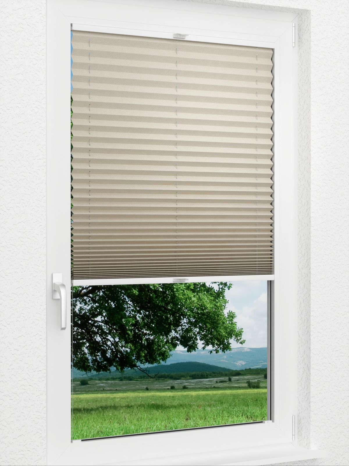 Detailansicht Plissee Color Krepp 1323vs