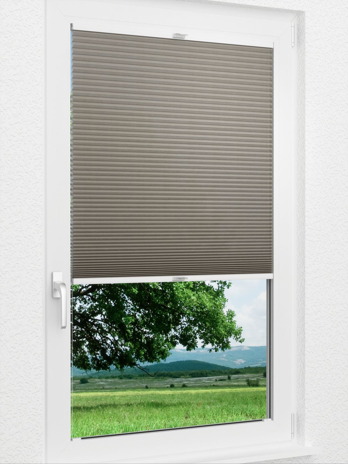 Detailansicht Daisy 1613vs