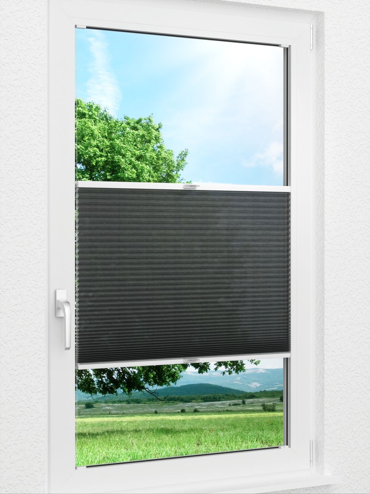 Detailansicht Daisy 1614vs