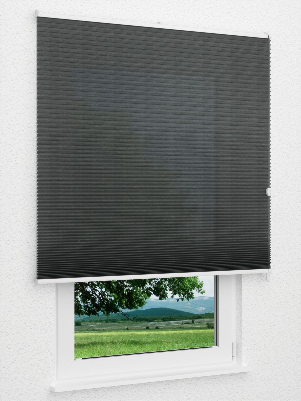 Detailansicht Daisy 1614vs