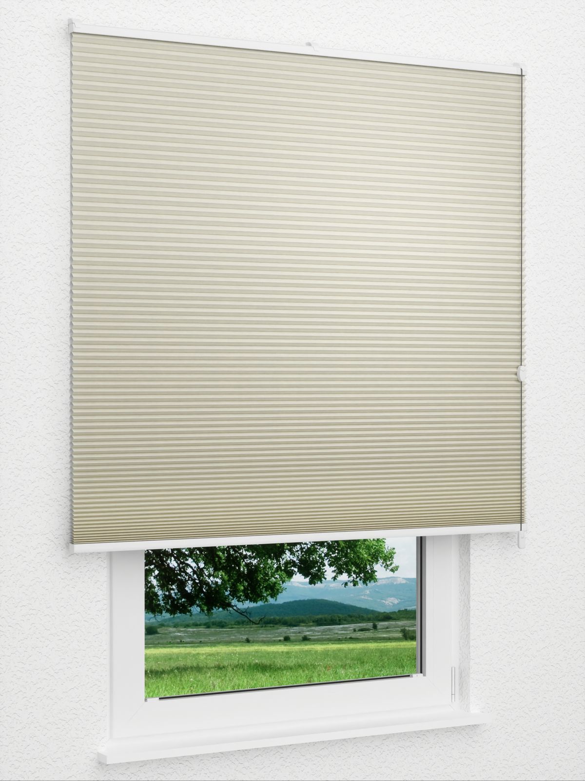 Detailansicht Daisy Dark 1621vs