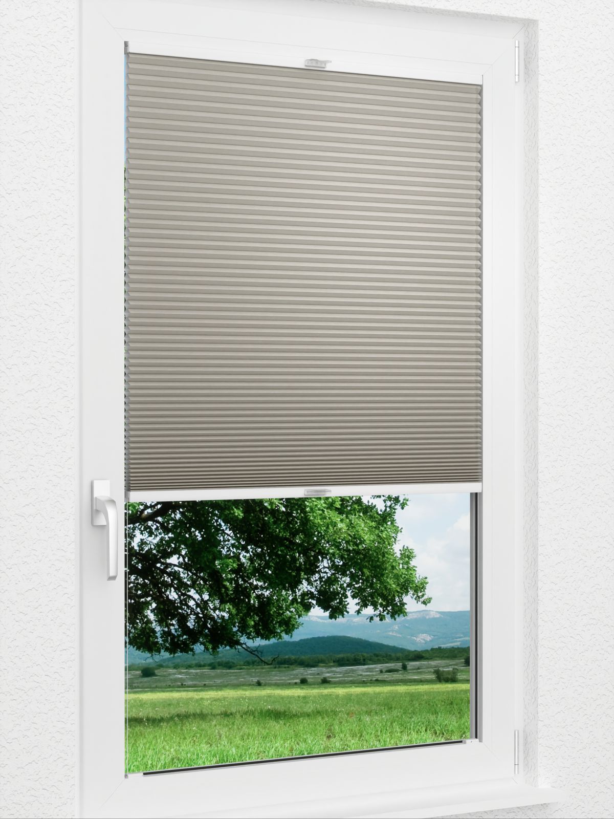 Detailansicht Daisy Dark 1622vs