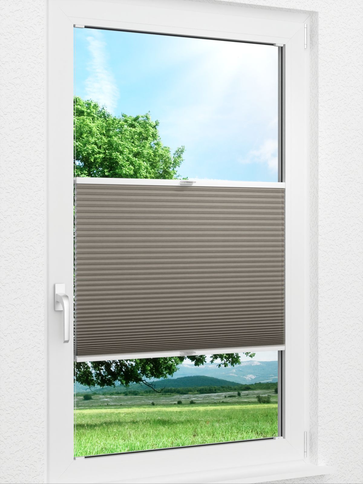 Detailansicht Daisy Dark 1623vs