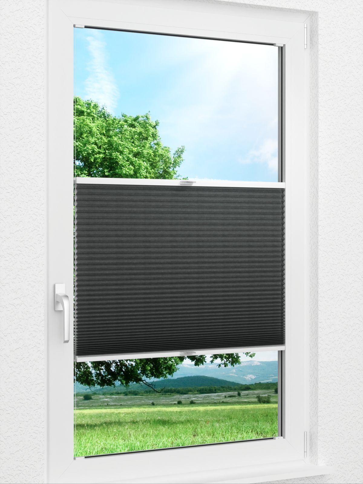 Detailansicht Daisy Dark 1624vs