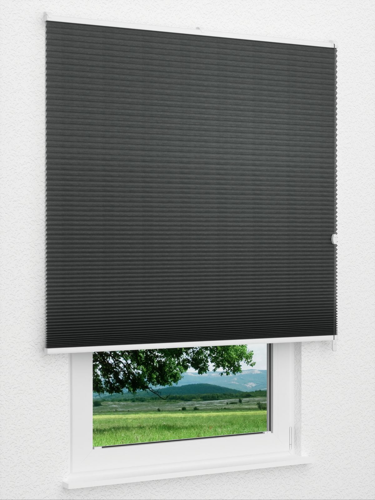 Detailansicht Daisy Dark 1624vs