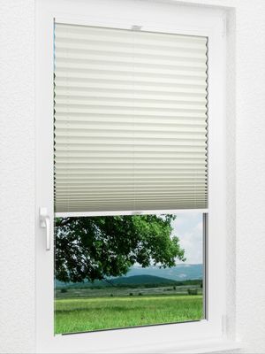 Preview Grain 1071vs 1
