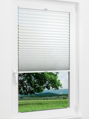 Preview Day Life 781vs 1